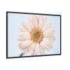 88289-400.jpg Closeup Daisy Framed Canvas