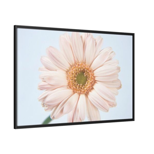 88289-400.jpg Closeup Daisy Framed Canvas