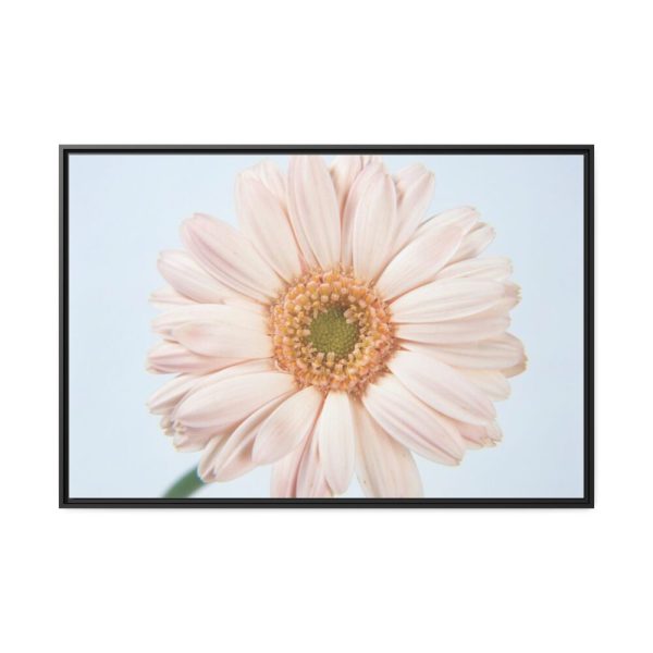 88289-401.jpg Closeup Daisy Framed Canvas