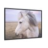A Close-up of a Gray Horse Framed Canvas