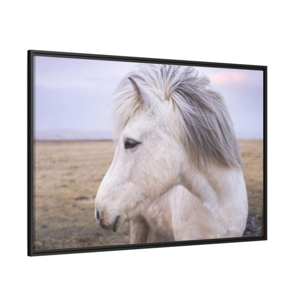 A Close-up of a Gray Horse Framed Canvas