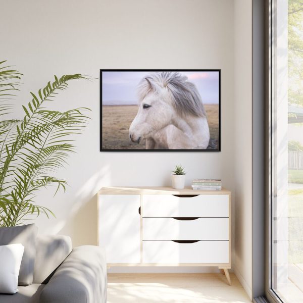 A Close-up of a Gray Horse Framed Canvas