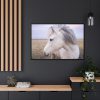 A Close-up of a Gray Horse Framed Canvas