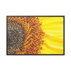 88289-41.jpg Closeup Sunflower Framed Canvas