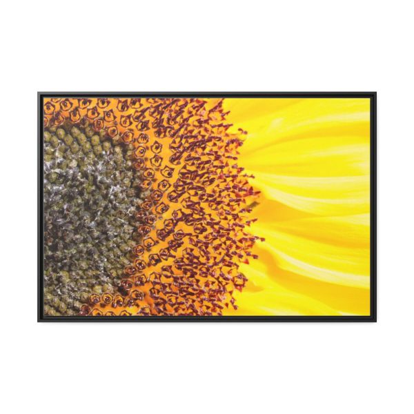 88289-41.jpg Closeup Sunflower Framed Canvas