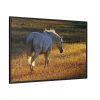 88289-410.jpg White Horses Framed Canvas