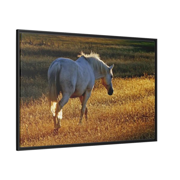 88289-410.jpg White Horses Framed Canvas