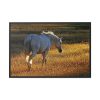 88289-411.jpg White Horses Framed Canvas