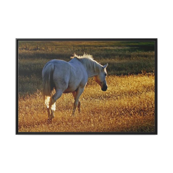 88289-411.jpg White Horses Framed Canvas