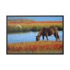 88289-416.jpg Horse Savanna Framed Canvas
