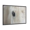 88289-420.jpg Half of a White Horse Face Framed Canvas