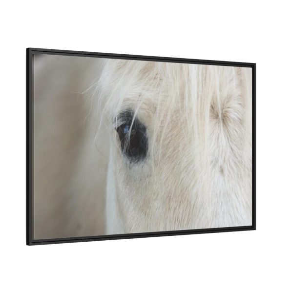 88289-420.jpg Half of a White Horse Face Framed Canvas