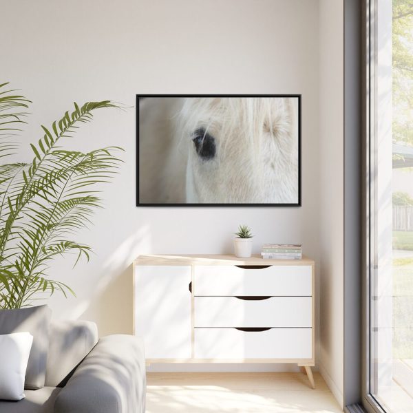 88289-423.jpg Half of a White Horse Face Framed Canvas