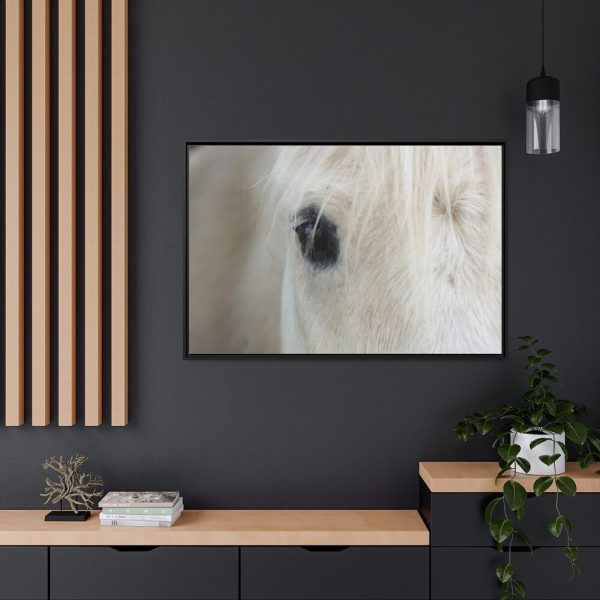 88289-424.jpg Half of a White Horse Face Framed Canvas