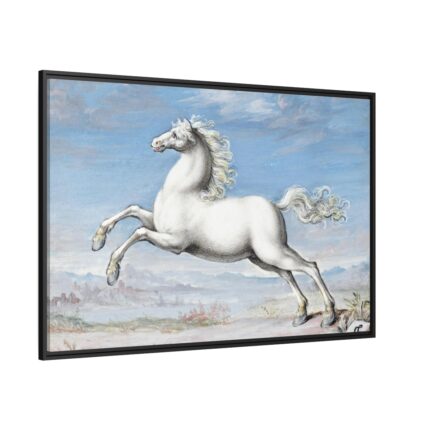 White horse Painting by Joris Hoefnagel Framed Canvas