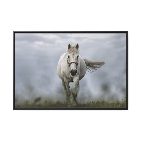 88289-431.jpg White Horse Galloping Framed Canvas