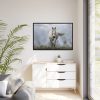 88289-433.jpg White Horse Galloping Framed Canvas
