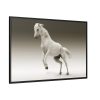 88289-435.jpg White Horse Framed Canvas