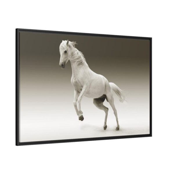 88289-435.jpg White Horse Framed Canvas