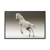 88289-436.jpg White Horse Framed Canvas