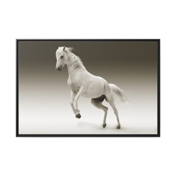 88289-436.jpg White Horse Framed Canvas