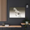 88289-439.jpg White Horse Framed Canvas