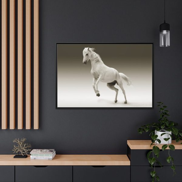 88289-439.jpg White Horse Framed Canvas