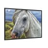 88289-440.jpg Closeup Shot of a White Horse Framed Canvas