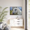 88289-443.jpg Closeup Shot of a White Horse Framed Canvas
