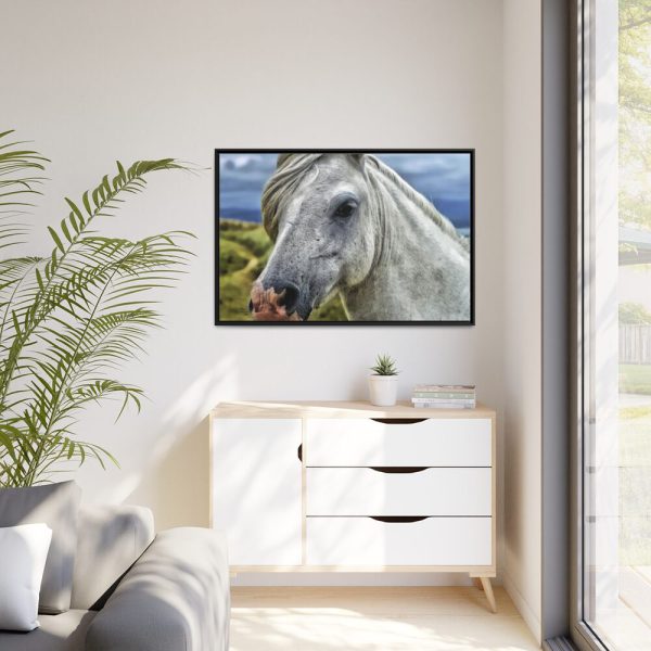 88289-443.jpg Closeup Shot of a White Horse Framed Canvas