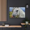 88289-444.jpg Closeup Shot of a White Horse Framed Canvas