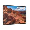88289-455.jpg Dixie National Forest Framed Canvas