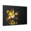 88289-475.jpg Bloom Orchid Framed Canvas
