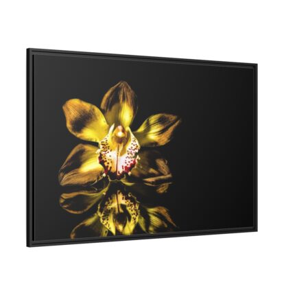 Bloom Orchid Framed Canvas