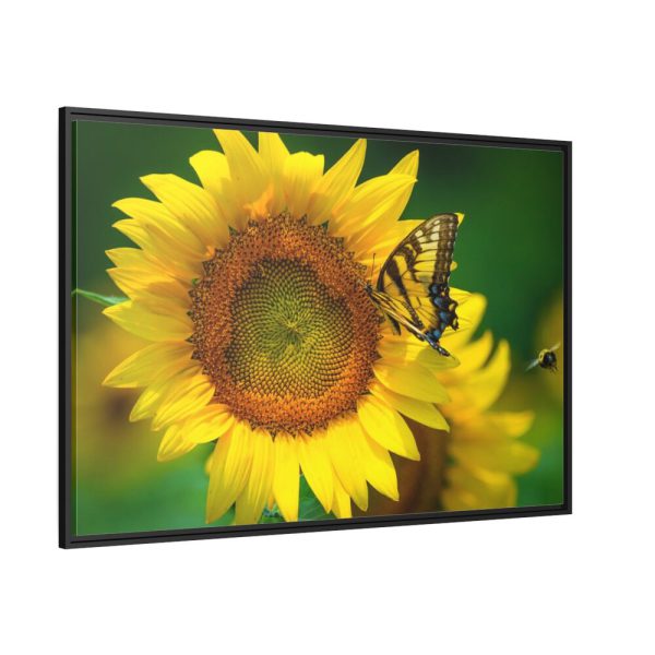 88289-48.jpg Butterfly on Sunflower Framed Canvas