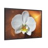 Blossom Orchid Flower Framed Canvas