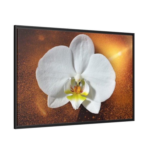 Blossom Orchid Flower Framed Canvas