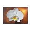 Blossom Orchid Flower Framed Canvas