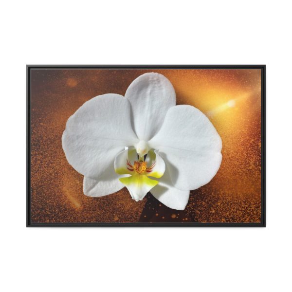 Blossom Orchid Flower Framed Canvas