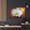 Blossom Orchid Flower Framed Canvas
