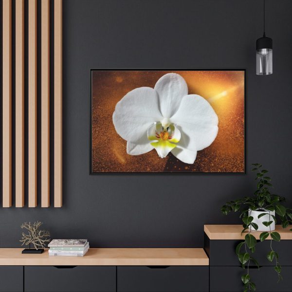 Blossom Orchid Flower Framed Canvas