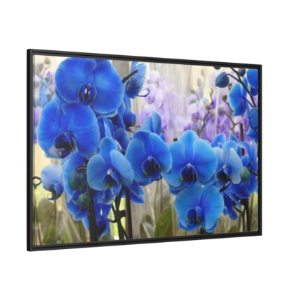 Blue Orchids Framed Canvas