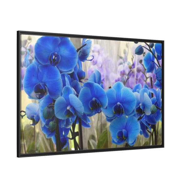 Blue Orchids Framed Canvas