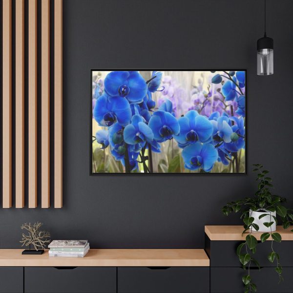Blue Orchids Framed Canvas