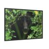 88289-490.jpg Black Bear in the Bush Framed Canvas
