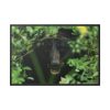 88289-491.jpg Black Bear in the Bush Framed Canvas