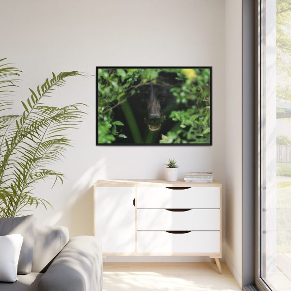 88289-493.jpg Black Bear in the Bush Framed Canvas