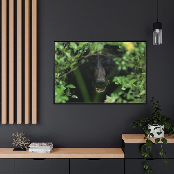 88289-494.jpg Black Bear in the Bush Framed Canvas