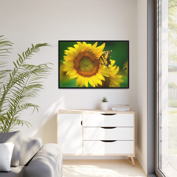 88289-51.jpg Butterfly on Sunflower Framed Canvas