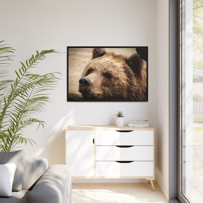 Brown Bear Snout Framed Canvas - Image 4